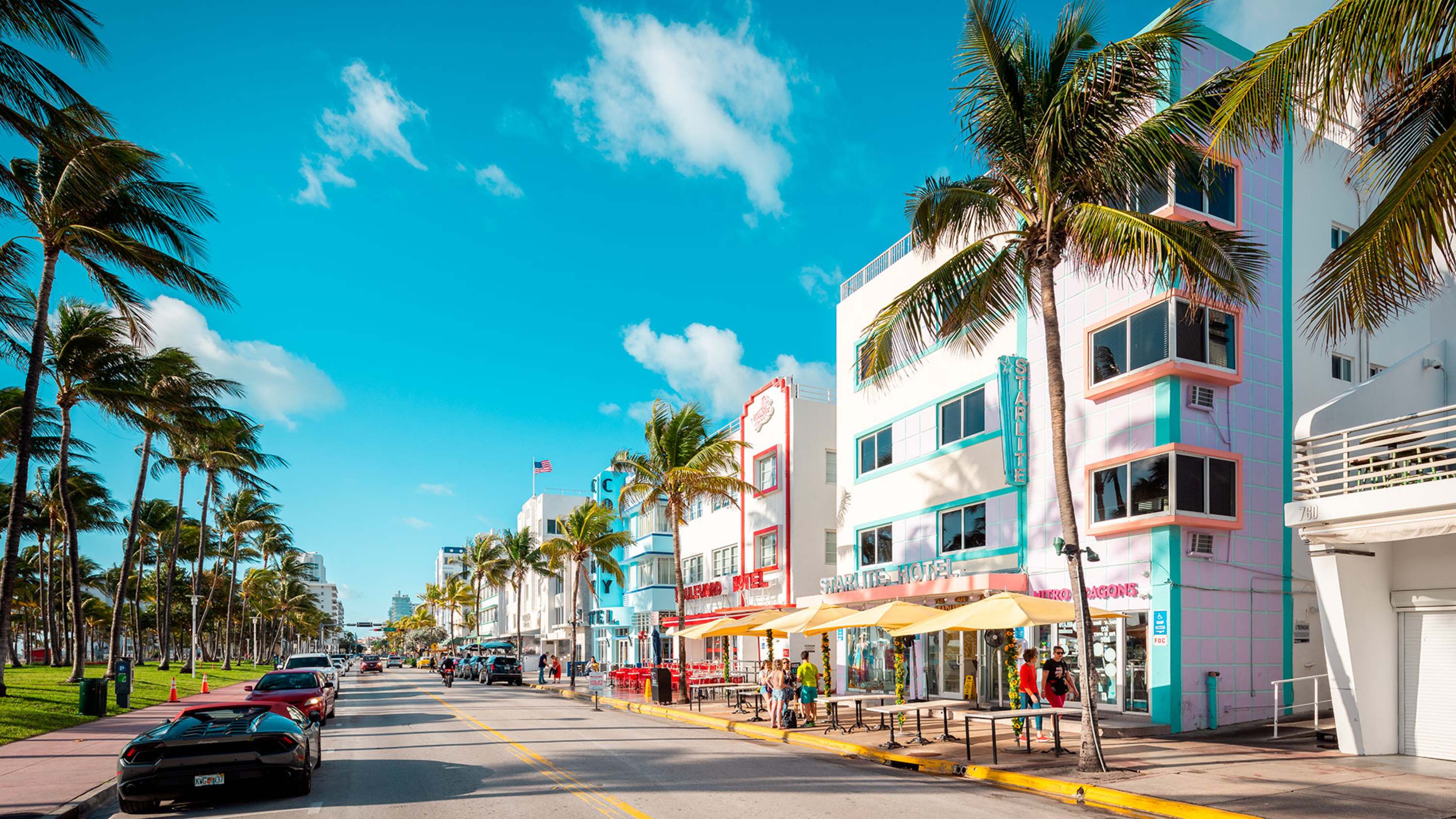 A wide shot of a street with palm trees and buildings.