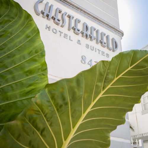 A hotel sign for &ldquo;Chesterfield&rdquo; behind a large green leaf, with the word HOTEL & SUITES visible.