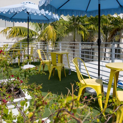 Sunny patio with blue awnings, green lawn, yellow chairs, flowering shrubs, palm trees, and a glimpse of a pool.