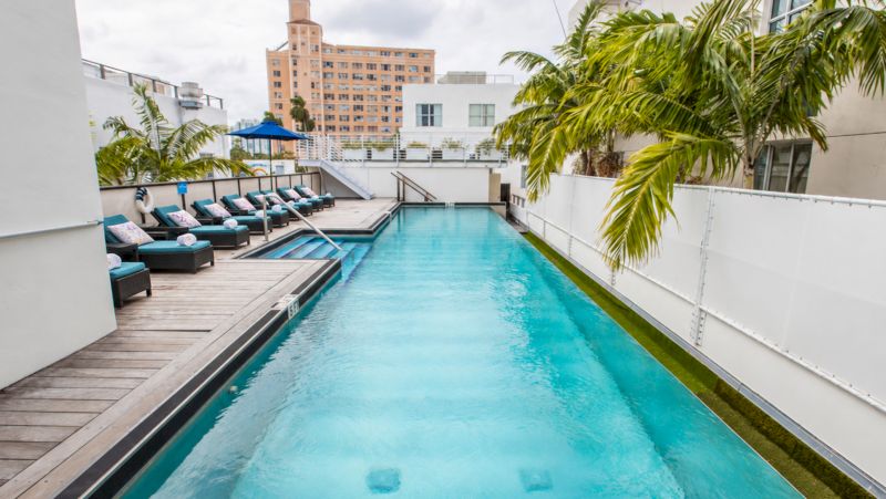 A long rectangular pool with lounge chairs and palm trees on a rooftop deck.